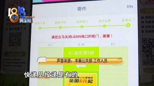 丰巢寄件漏洞折射公共服务缺失 关门提示模糊、客服失责亟待整改